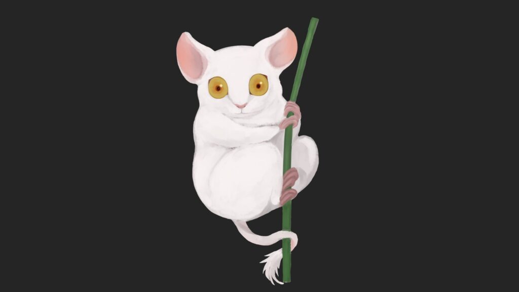 守り神の猿